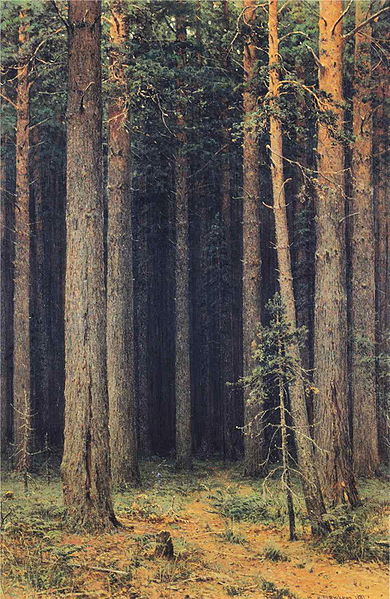 Ivan Shishkin Forest Reserve